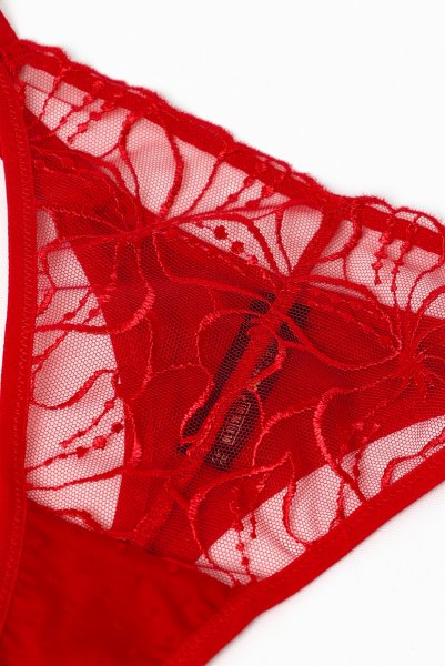 画像11: HARPER red C215 | タンガ・シースルー・レッド  | ewabien エヴァビアン【サイズ交換NG・メール便対象】輸入下着・高級ランジェリー  (11)