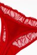 画像12: HARPER red C215 | タンガ・シースルー・レッド  | ewabien エヴァビアン【サイズ交換NG・メール便対象】輸入下着・高級ランジェリー  (12)