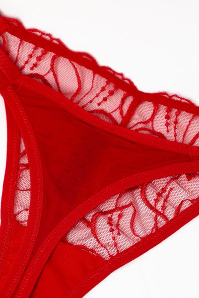 画像12: HARPER red C215 | タンガ・シースルー・レッド  | ewabien エヴァビアン【サイズ交換NG・メール便対象】輸入下着・高級ランジェリー  (12)