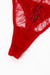 画像13: HARPER red C215 | タンガ・シースルー・レッド  | ewabien エヴァビアン【サイズ交換NG・メール便対象】輸入下着・高級ランジェリー  (13)