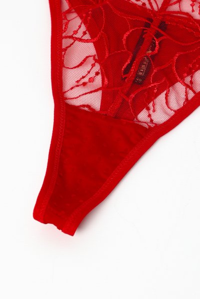 画像13: HARPER red C215 | タンガ・シースルー・レッド  | ewabien エヴァビアン【サイズ交換NG・メール便対象】輸入下着・高級ランジェリー  (13)