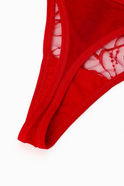 画像14: HARPER red C215 | タンガ・シースルー・レッド  | ewabien エヴァビアン【サイズ交換NG・メール便対象】輸入下着・高級ランジェリー  (14)