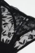 画像11: FIORA black C215 |タンガ・Tバック・ブラック | ewabien エヴァビアン【サイズ交換NG・メール便対象】輸入下着・高級ランジェリー  (11)