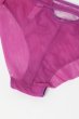 画像14: FIORA fuchsia C511｜ブラジリアンショーツ・紫・ピンク | ewabien エヴァビアン【サイズ交換NG・メール便対象】輸入下着・高級ランジェリー  (14)