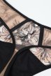 画像12: SALMA beige C200 |タンガ・Tバック・ベージュ  | ewabien エヴァビアン【サイズ交換NG・メール便対象】輸入下着・高級ランジェリー  (12)