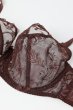 画像8: 【12月発売予定】2026SS|KIRAchocolate B161 | フルカップ・パッドなし・ワイヤーブラ・一枚レース・大きいサイズ・ブラウン | ewabien エヴァビアン (8)