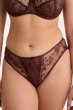 画像1: 【12月発売予定】2026SS|KIRAchocolate C110 | ノーマルショーツ・ブラウン  | ewabien エヴァビアン (1)
