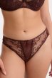 画像1: 【12月発売予定】2026SS|KIRAchocolate C511|ブラジリアンショーツ・ブラウン | ewabien エヴァビアン (1)