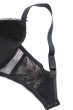 画像12: ELVIRA black B214 | 3/4カップ・ワイヤーブラ・グラマー向け・ブラック| ewabien エヴァビアン【サイズ交換OK】 輸入下着・高級ランジェリー  (12)