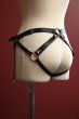 画像16: A762 harness | 黒のハーネス（ボンテージ・ブラック)   | 高級Sexyランジェリー Obsessive【即日発送・サイズ交換NG】輸入下着・ランジェリー   (16)