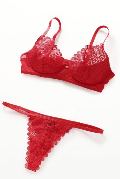 画像11: Ingridia 3 pcs set|ワイヤー入りブラ＆ガーターベルト＆タンガ3点セット・レッド | obsessive 高級Sexyランジェリー (11)