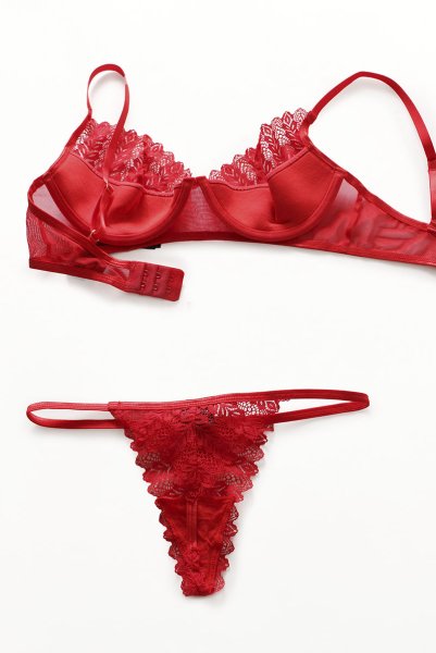 画像12: Ingridia 3 pcs set|ワイヤー入りブラ＆ガーターベルト＆タンガ3点セット・レッド | obsessive 高級Sexyランジェリー (12)