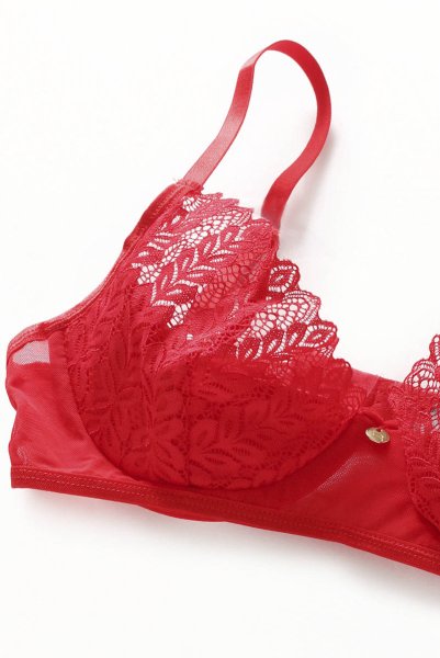 画像13: Ingridia 3 pcs set|ワイヤー入りブラ＆ガーターベルト＆タンガ3点セット・レッド | obsessive 高級Sexyランジェリー (13)