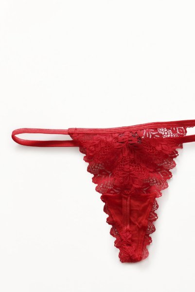 画像17: Ingridia 3 pcs set|ワイヤー入りブラ＆ガーターベルト＆タンガ3点セット・レッド | obsessive 高級Sexyランジェリー (17)