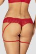 画像10: Ingridia 2 pcs crotchless set | ワイヤー入りブラ&クロッチレスソング２点セット・レッド| obsessive 高級Sexyランジェリー輸入下着・ランジェリー   (10)