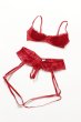 画像11: Ingridia 2 pcs crotchless set | ワイヤー入りブラ&クロッチレスソング２点セット・レッド| obsessive 高級Sexyランジェリー輸入下着・ランジェリー   (11)