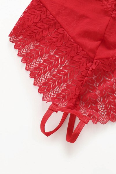 画像15: Ingridia crotchless teddy | テディ・クロッチレス・レッド  | Obsessive 高級Sexyランジェリー (15)