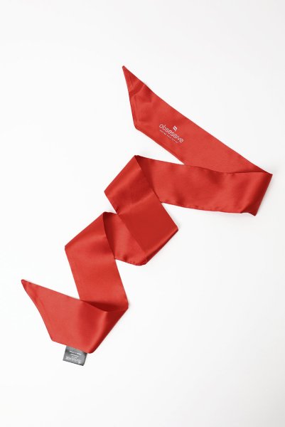 画像4: Blindfold red | アイマスク（サテンリボン・レッド）| Obsessive 高級Sexyランジェリー (4)