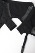 画像12: Chic Amoria garter belt | ガーターベルト（シースルー・ブラック)  |  Obsessive 高級Sexyランジェリー【即日発送・サイズ交換NG】※メール便対象※輸入下着・ランジェリー   (12)