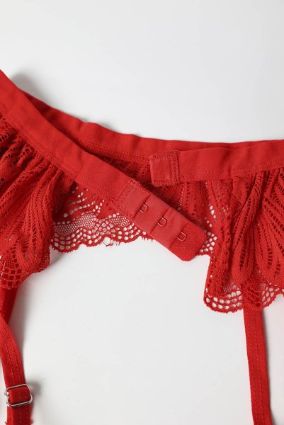 画像22: Chilisa 3-pcs set｜ブラ＆ガーターベルト＆タンガ3点セット（ワイヤーなし・レース・シースルー・レッド） | Obsessive 高級Sexyランジェリー (22)