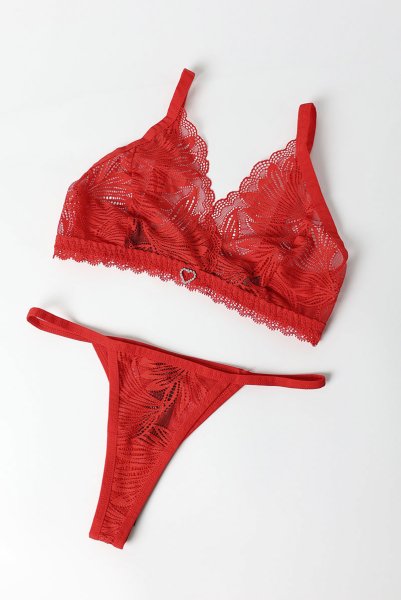 画像11: Chilisa 3-pcs set｜ブラ＆ガーターベルト＆タンガ3点セット（ワイヤーなし・レース・シースルー・レッド） | Obsessive 高級Sexyランジェリー (11)