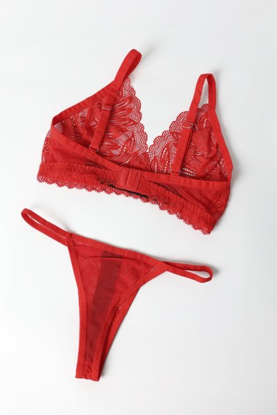 画像12: Chilisa 3-pcs set｜ブラ＆ガーターベルト＆タンガ3点セット（ワイヤーなし・レース・シースルー・レッド） | Obsessive 高級Sexyランジェリー (12)