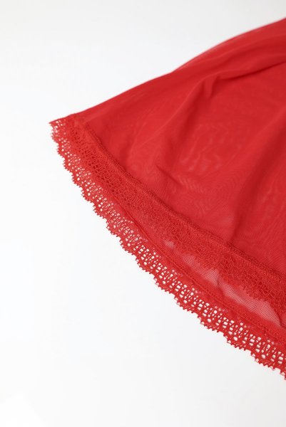 画像24: Chilisa babydoll & thong｜ベビードール＆タンガ（ワイヤーなし・レース・シースルー・レッド）| Obsessive 高級Sexyランジェリー (24)