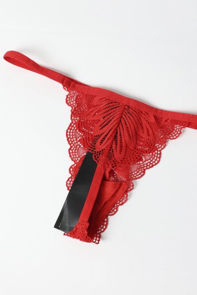 画像26: Chilisa babydoll & thong｜ベビードール＆タンガ（ワイヤーなし・レース・シースルー・レッド）| Obsessive 高級Sexyランジェリー (26)