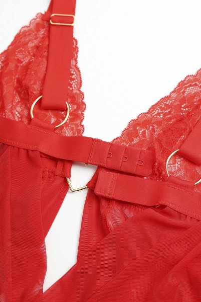 画像23: Elianes babydoll | ベビードール＆タンガ・レッド| obsessive 高級Sexyランジェリー (23)