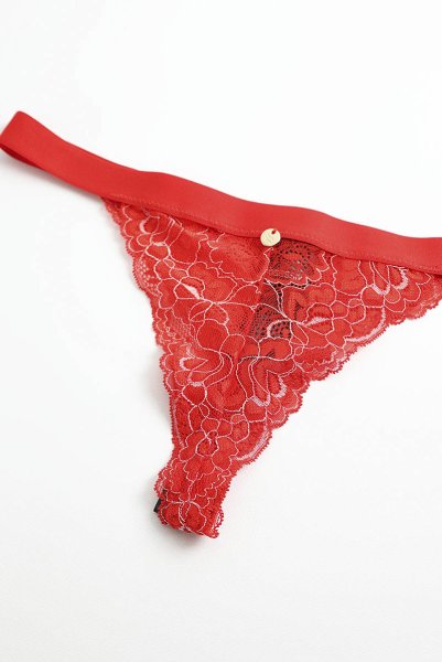 画像24: Elianes babydoll | ベビードール＆タンガ・レッド| obsessive 高級Sexyランジェリー (24)