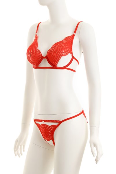 画像9: Mellania set red | ブラ＆ショーツ2点セット・ワイヤーあり・レッド・レース   | 高級Sexyランジェリー Obsessive (9)
