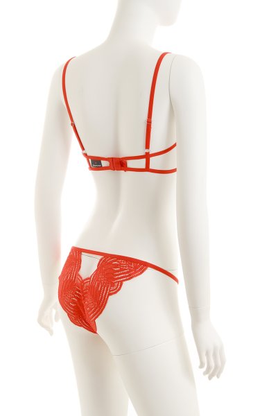 画像10: Mellania set red | ブラ＆ショーツ2点セット・ワイヤーあり・レッド・レース   | 高級Sexyランジェリー Obsessive (10)