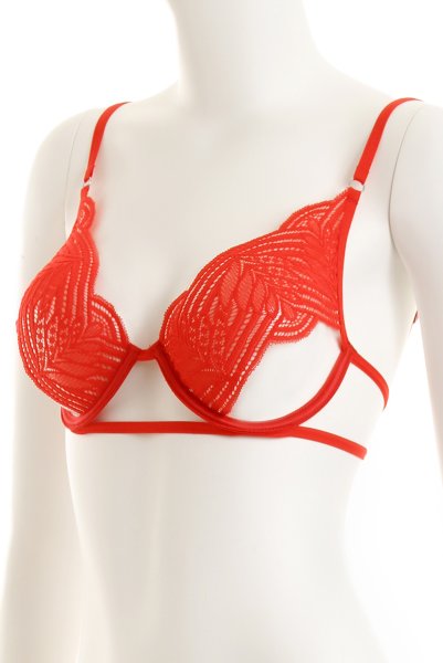 画像11: Mellania set red | ブラ＆ショーツ2点セット・ワイヤーあり・レッド・レース   | 高級Sexyランジェリー Obsessive (11)