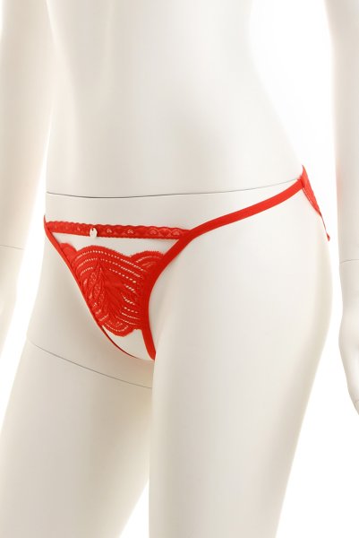 画像13: Mellania set red | ブラ＆ショーツ2点セット・ワイヤーあり・レッド・レース   | 高級Sexyランジェリー Obsessive (13)