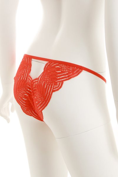 画像14: Mellania set red | ブラ＆ショーツ2点セット・ワイヤーあり・レッド・レース   | 高級Sexyランジェリー Obsessive (14)