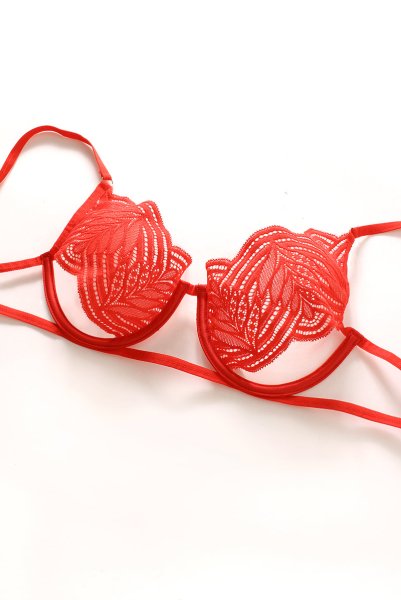 画像15: Mellania set red | ブラ＆ショーツ2点セット・ワイヤーあり・レッド・レース   | 高級Sexyランジェリー Obsessive (15)
