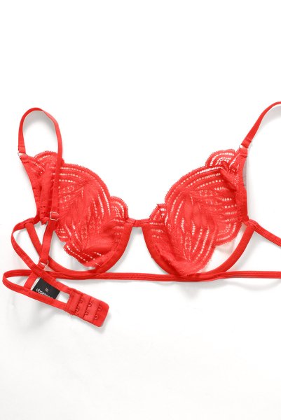 画像16: Mellania set red | ブラ＆ショーツ2点セット・ワイヤーあり・レッド・レース   | 高級Sexyランジェリー Obsessive (16)