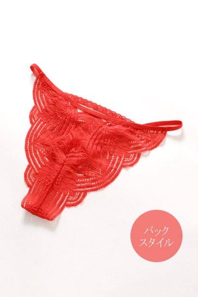 画像18: Mellania set red | ブラ＆ショーツ2点セット・ワイヤーあり・レッド・レース   | 高級Sexyランジェリー Obsessive (18)