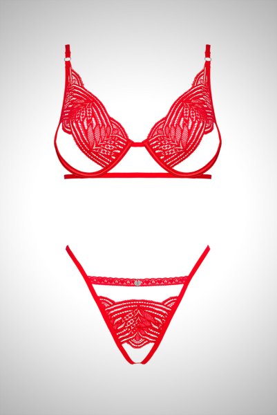 画像19: Mellania set red | ブラ＆ショーツ2点セット・ワイヤーあり・レッド・レース   | 高級Sexyランジェリー Obsessive (19)