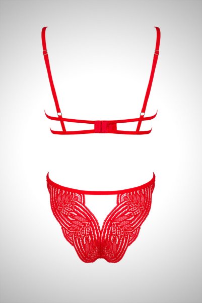 画像20: Mellania set red | ブラ＆ショーツ2点セット・ワイヤーあり・レッド・レース   | 高級Sexyランジェリー Obsessive (20)