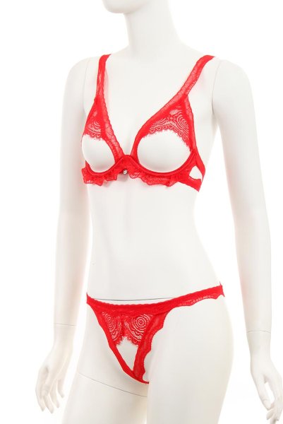画像9: Bergamore set | ブラ＆ショーツ2点セット・ワイヤーあり・レッド・レース   | 高級Sexyランジェリー Obsessive (9)