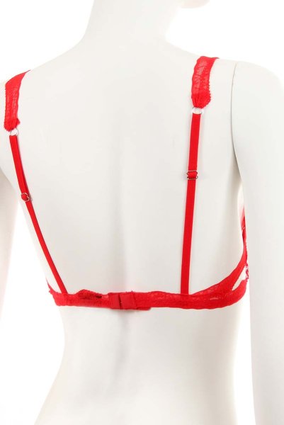 画像12: Bergamore set | ブラ＆ショーツ2点セット・ワイヤーあり・レッド・レース   | 高級Sexyランジェリー Obsessive (12)