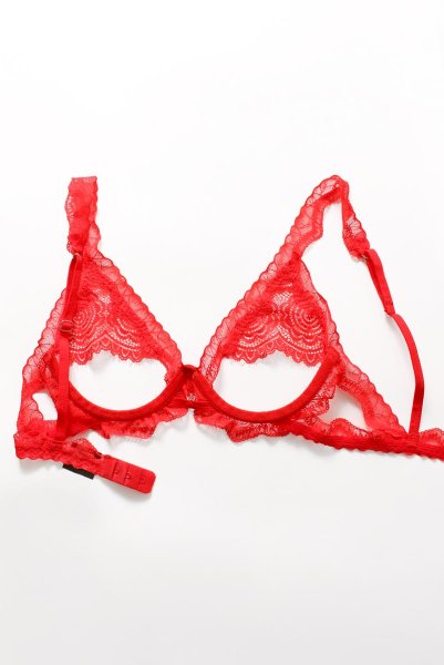 画像16: Bergamore set | ブラ＆ショーツ2点セット・ワイヤーあり・レッド・レース   | 高級Sexyランジェリー Obsessive (16)
