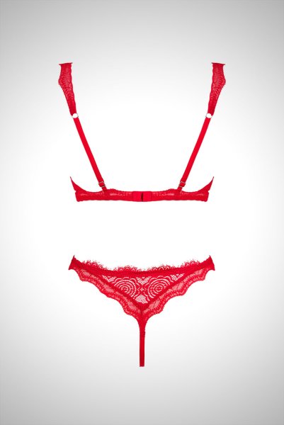 画像21: Bergamore set | ブラ＆ショーツ2点セット・ワイヤーあり・レッド・レース   | 高級Sexyランジェリー Obsessive (21)