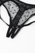 画像8: Nuites crotchless panties |クロッチレスショーツ(ドット・シースルー・ブラック) | Obsessive 高級Sexyランジェリー【即日発送・サイズ交換NG・メール便対象】輸入下着・ランジェリー   (8)
