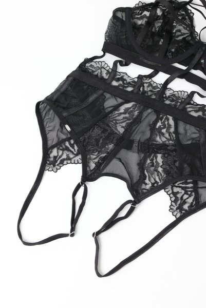 画像15: Hersis crotchess teddy | クロッチレステディ(ワイヤーあり・シースルー・ブラック)  | Obsessive 高級Sexyランジェリー【即日発送・サイズ交換NG・メール便対象】輸入下着・ランジェリー    (15)