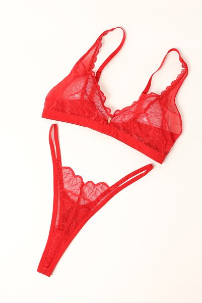 画像8: Cupide-Desir-3-pcs-set｜ブラ＆ガーターベルト＆Tバック3点セット（ワイヤーなし・レース・シースルー・レッド） | Obsessive 高級Sexyランジェリー【即日発送・サイズ交換NG・メール便対象】輸入下着・ランジェリー   (8)