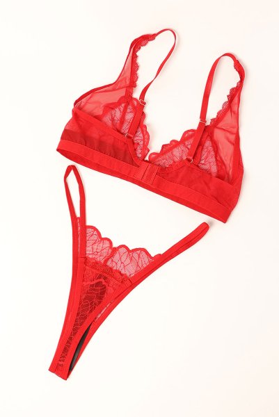 画像9: Cupide-Desir-3-pcs-set｜ブラ＆ガーターベルト＆Tバック3点セット（ワイヤーなし・レース・シースルー・レッド） | Obsessive 高級Sexyランジェリー【即日発送・サイズ交換NG・メール便対象】輸入下着・ランジェリー   (9)