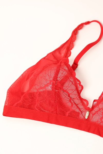 画像10: Cupide-Desir-3-pcs-set｜ブラ＆ガーターベルト＆Tバック3点セット（ワイヤーなし・レース・シースルー・レッド） | Obsessive 高級Sexyランジェリー【即日発送・サイズ交換NG・メール便対象】輸入下着・ランジェリー   (10)