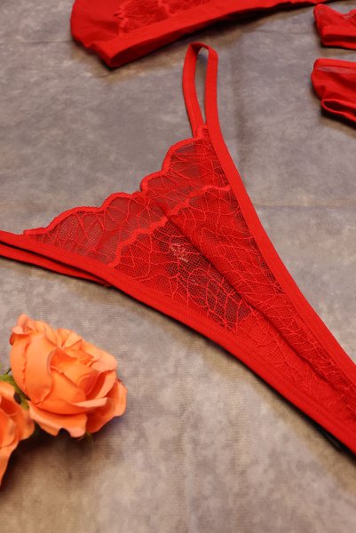 画像24: Cupide-Desir-3-pcs-set｜ブラ＆ガーターベルト＆Tバック3点セット（ワイヤーなし・レース・シースルー・レッド） | Obsessive 高級Sexyランジェリー【即日発送・サイズ交換NG・メール便対象】輸入下着・ランジェリー   (24)